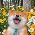 Margarita Vega Avatar