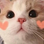 Daniela Solís Avatar